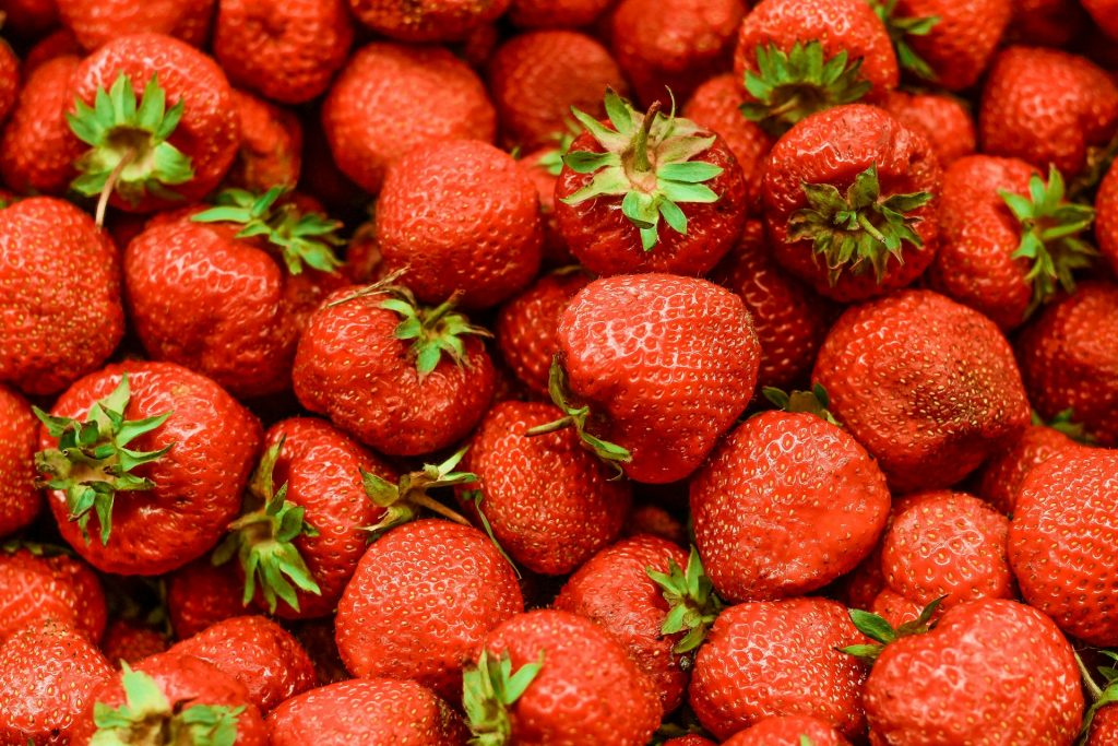 Erdbeeren im Frühling pflanzen: So gelingt die süße Ernte auch außerhalb der Saison